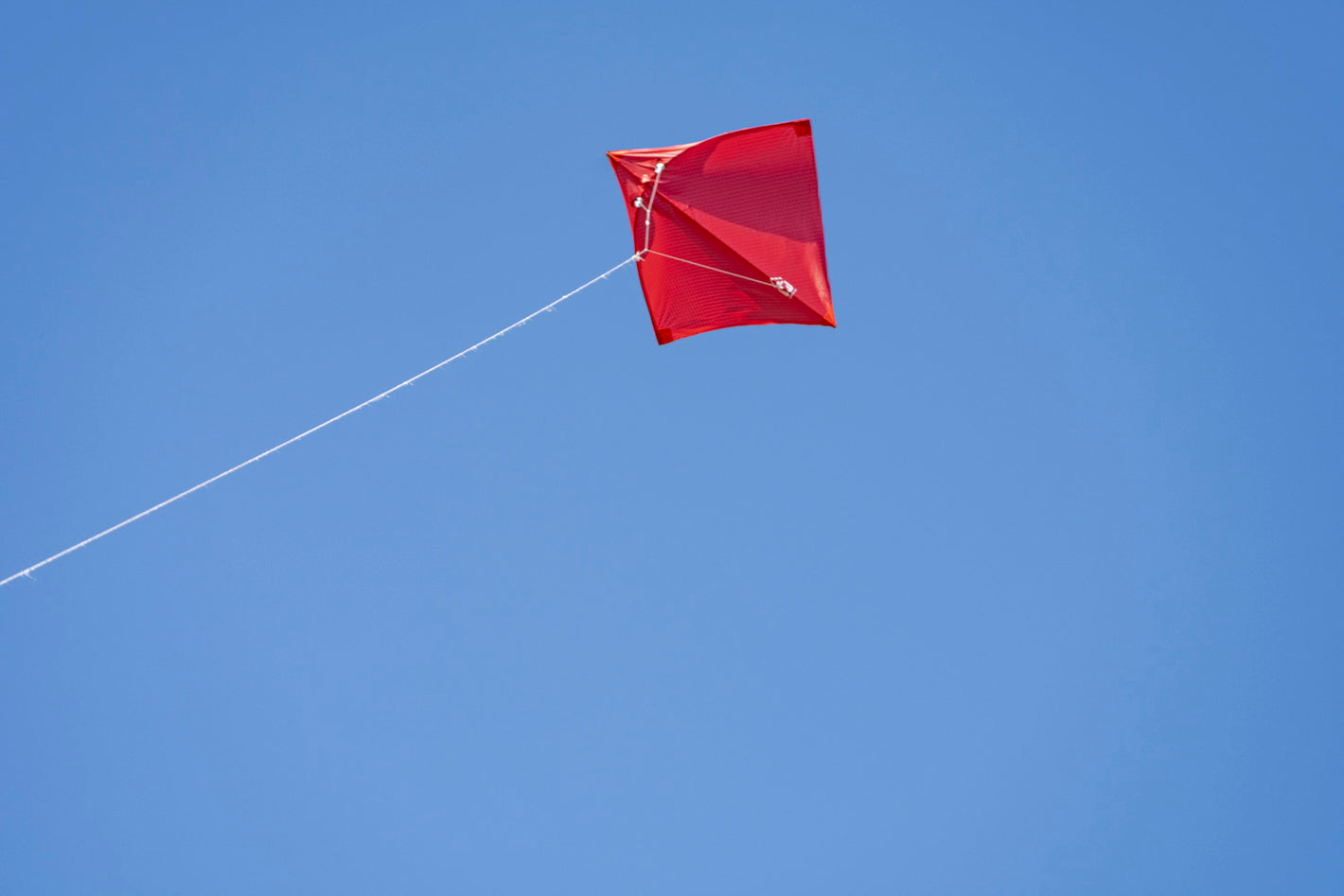 Flying a fighting kite Wind Warrior