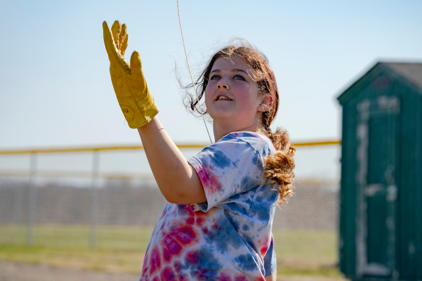 Flying a fighting kite Wind Warrior