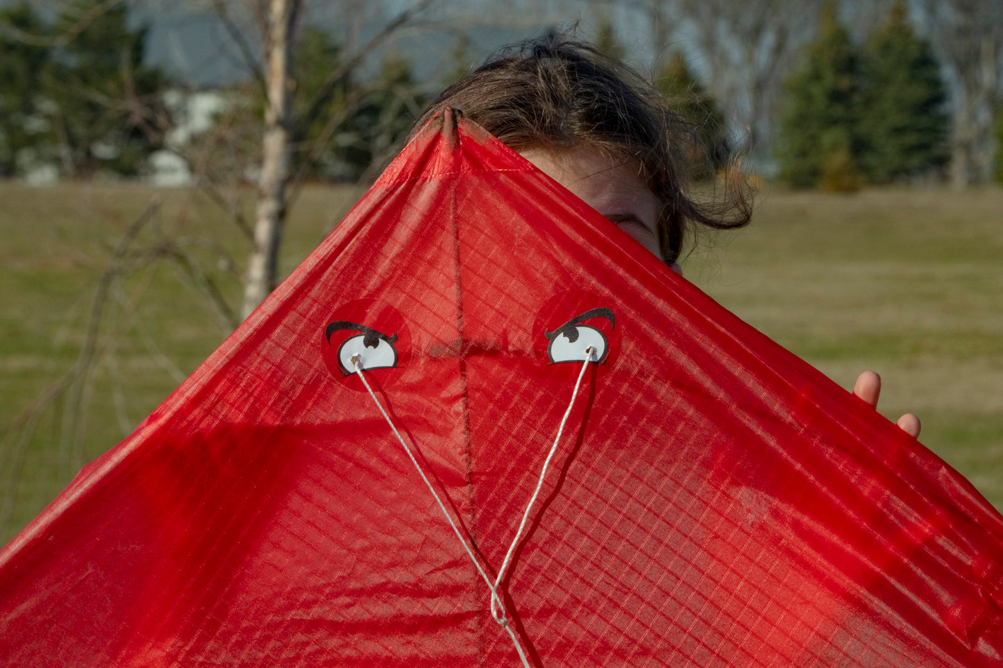 Wind Warrior fighting kites